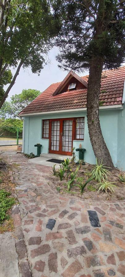 Cozy +/- 500m From The Cape Town